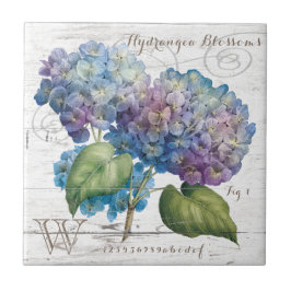 Azulejo El Hydrangea florece monograma
