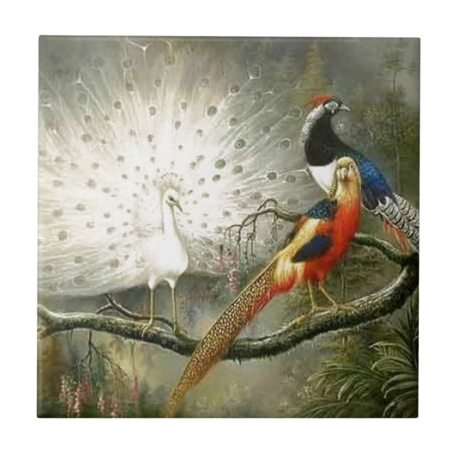 Azulejo El ir de fiesta blanco lindo del faisán de los (Frente)