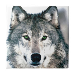 Azulejo El lobo observa el estampado de animales salvaje
