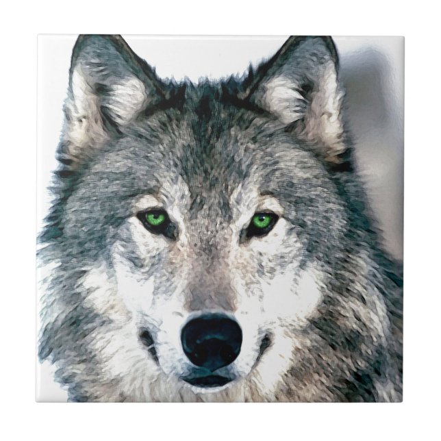 Azulejo El lobo observa el estampado de animales salvaje (Frente)