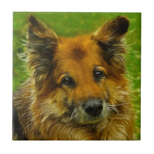 Azulejo El mejor amigo #2 del hombre