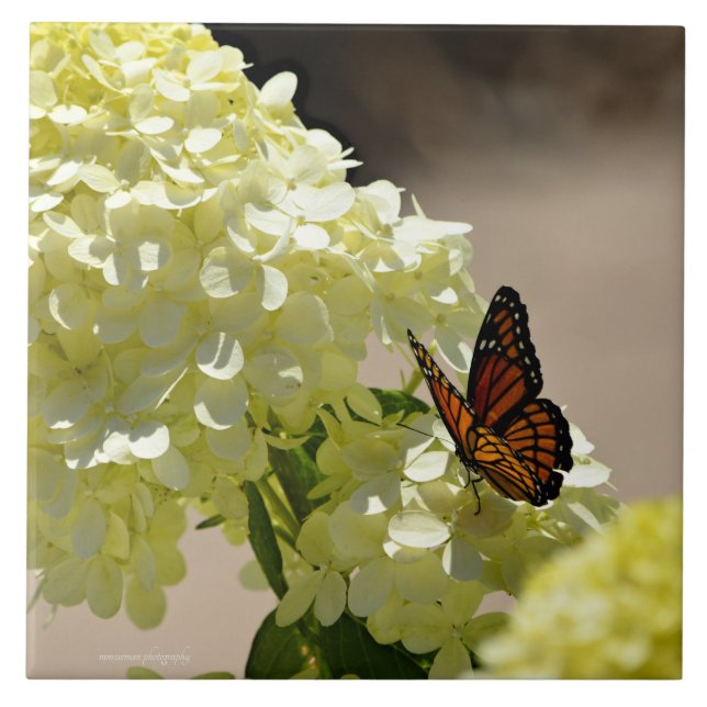 Azulejo El monarca y las flores (Frente)