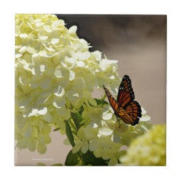 Azulejo El monarca y las flores