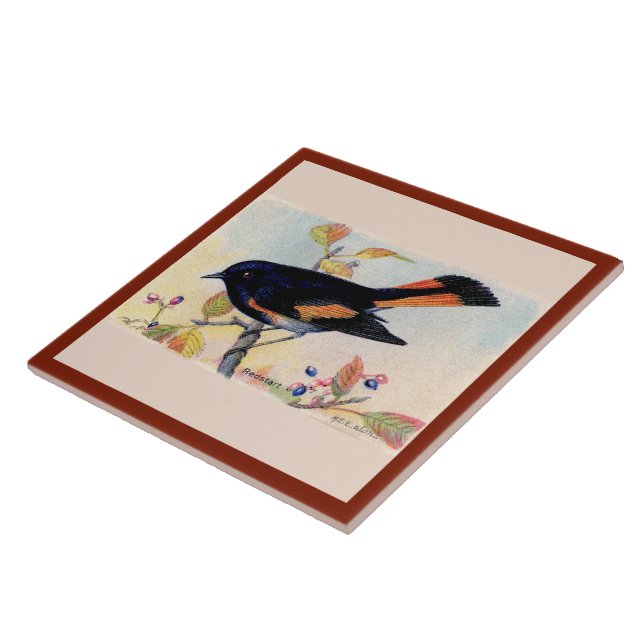 Azulejo El mosaico de la cerámica Redstart Bird (Lado)