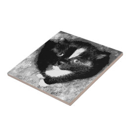 Azulejo El observador silencioso