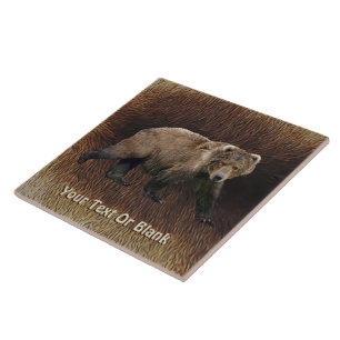 Azulejo El Oso Kodiak En El Caribou Fur