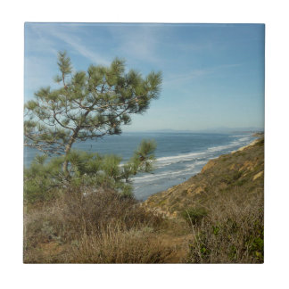 Azulejo El paisaje costero de Torrey Pine y California