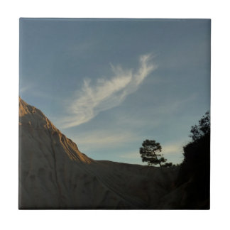 Azulejo El paisaje de Lone Torrey Pine California Sunset