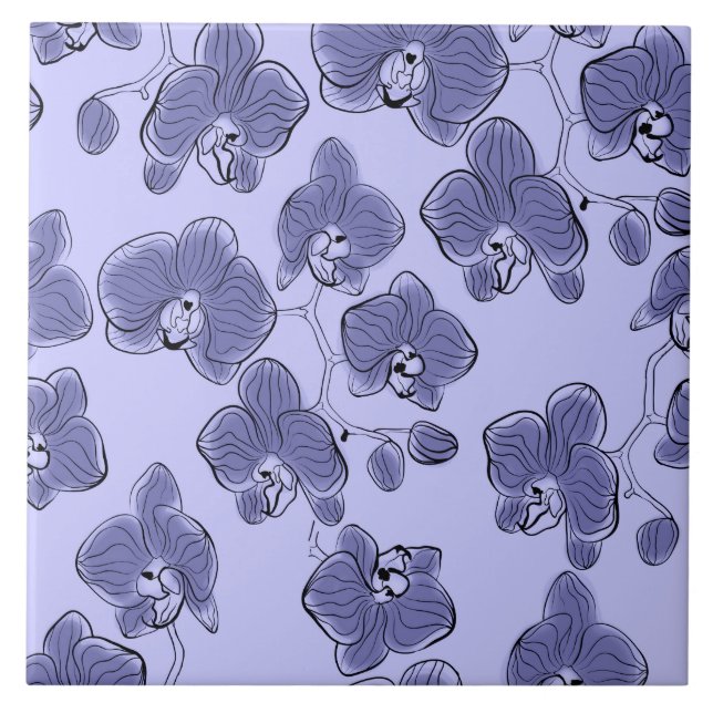 Azulejo El phalaenopsis inconsútil de las orquídeas de la (Frente)