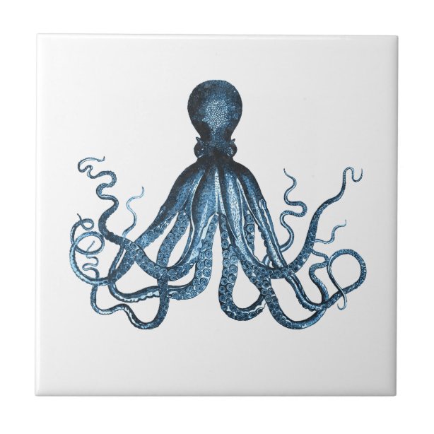 Regalos Kraken | Zazzle.es