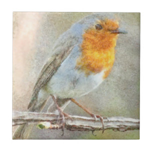 Azulejo El Robin Es Una Acuarela Gabriel