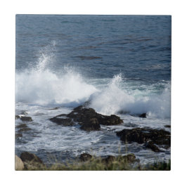 Azulejo El surf en el Océano Pacífico