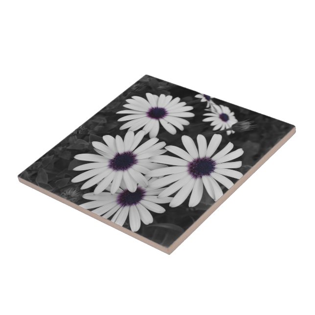 Azulejo El sutil contraste de la naturaleza (Lado)