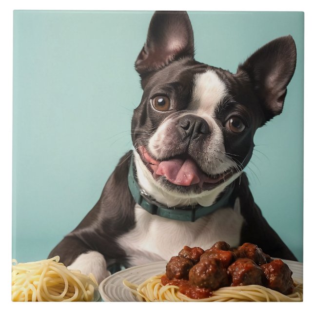 Azulejo El Terrier De Boston Con Spaghetti Bolognaise (Frente)