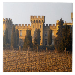 Azulejo El viñedo con vides syrah y el castillo