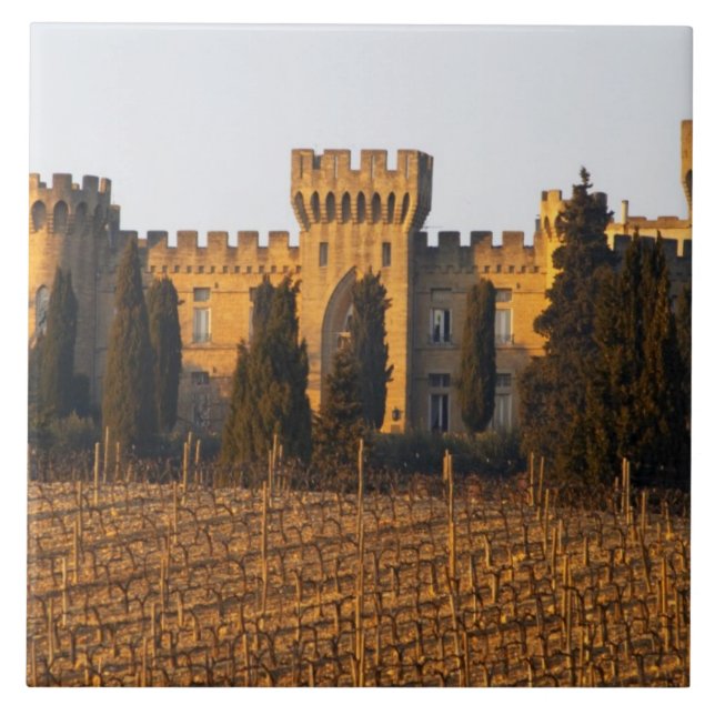Azulejo El viñedo con vides syrah y el castillo (Frente)
