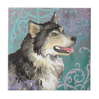 Azulejo Elegante Alaskan Malemute