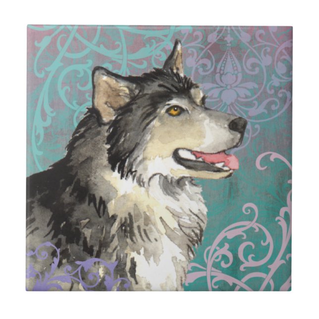 Azulejo Elegante Alaskan Malemute (Frente)