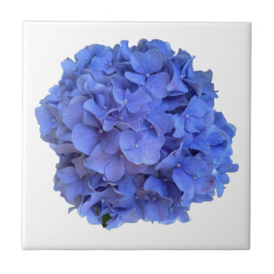 Azulejo Elegante Blue periwinkle hidrangeas florales