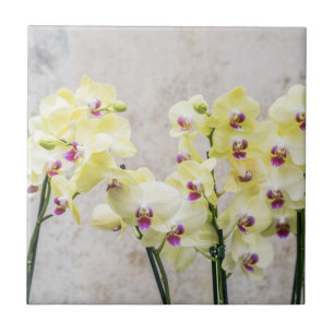 Azulejo Elegante Crema Romántica y Orquídeas Lilac