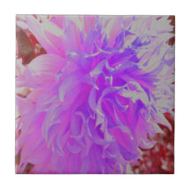 Elegante Flor de Dahlia Ultra Violeta