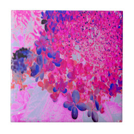 Azulejo Elegante Fuchsia e Hidrangea Luminosa Azul Oscuro