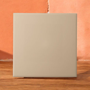 Azulejo Elegante Monocromo Muy suave Naranja Minimalista