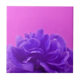 Azulejo Elegante morado frambuesa floral
