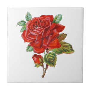 Azulejo elegante mosaico de decoración de rosa rojo Vintag