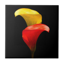 Azulejo Elegante oro y Crimson Calla Lilies
