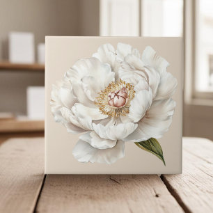 Azulejo Elegante país francés de marfil blanco peony