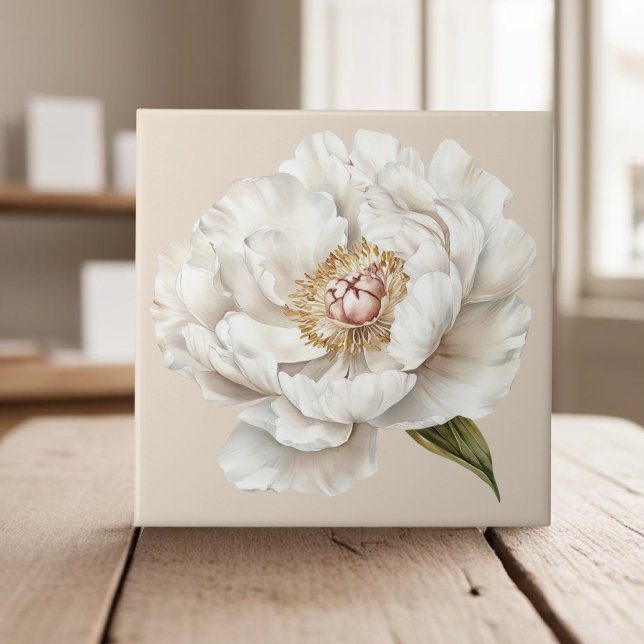Azulejo Elegante país francés de marfil blanco peony (Subido por el creador)
