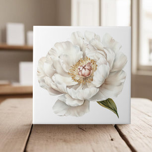 Azulejo Elegante país francés de marfil blanco peony