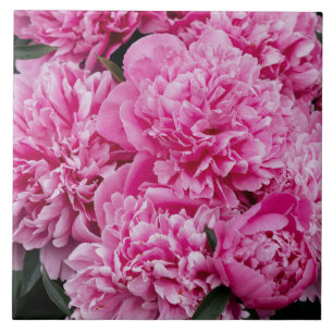 Azulejo Elegante peonía rosa, foto floral estética