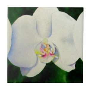 Azulejo Elegante pintura tropical de orquídea en acuarela
