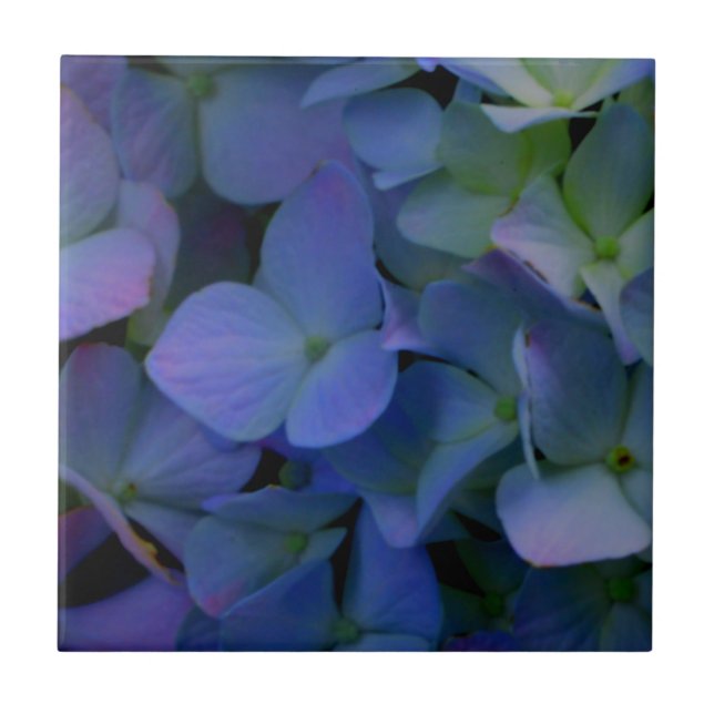 Azulejo Elegante polvoriento azul violeta floral (Frente)