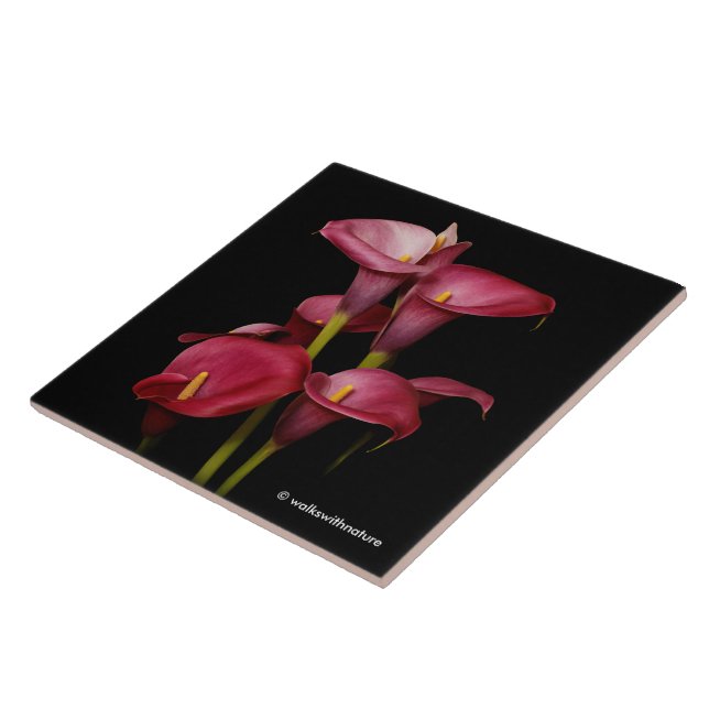 Azulejo Elegante púrpura Calla Lilies (Lado)