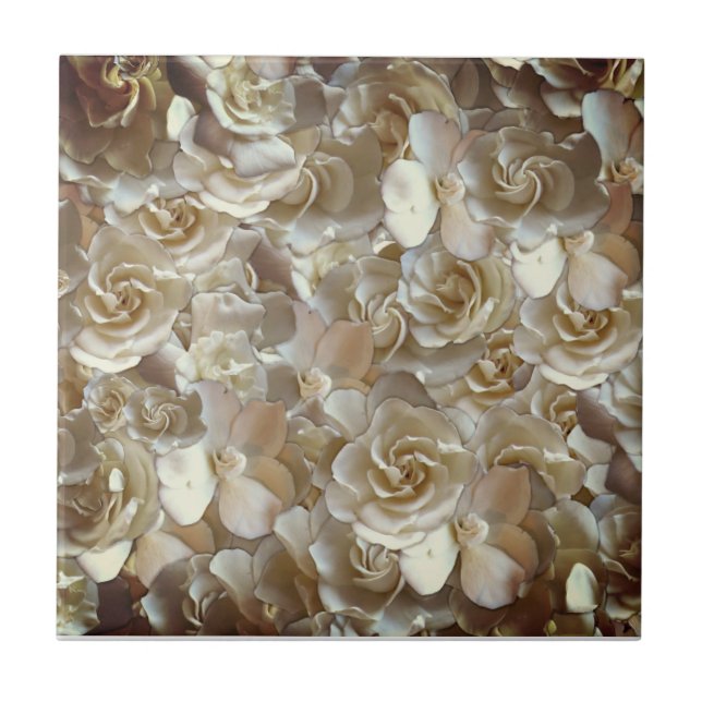 Azulejo Elegante Rosa floral Petal (Frente)