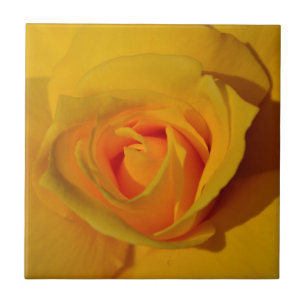 Azulejo Elegante rosa naranja amarillo