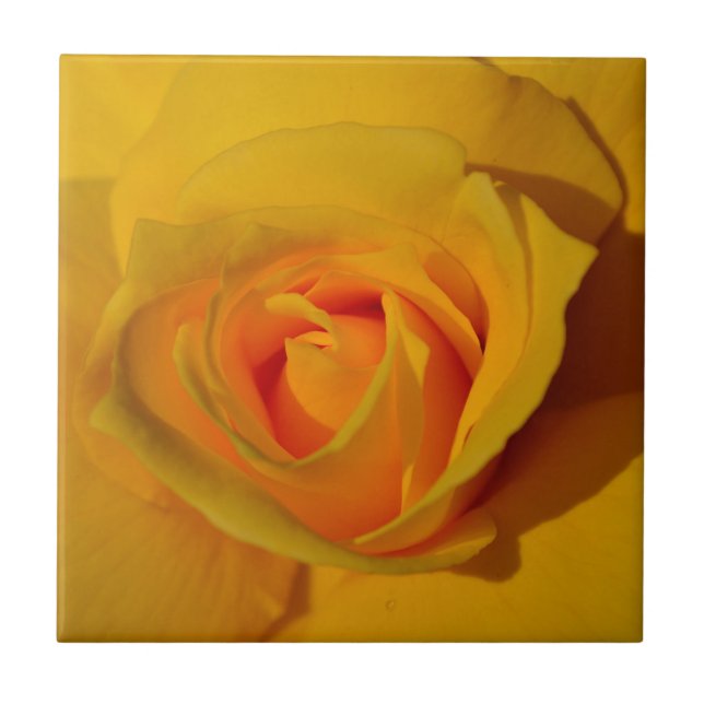 Azulejo Elegante rosa naranja amarillo (Frente)
