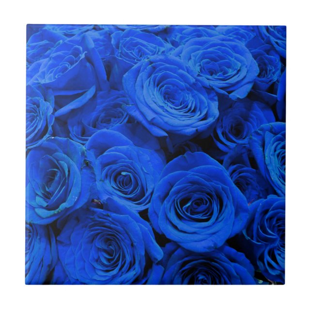 Azulejo Elegantes rosas azules flores azules florales azul (Frente)