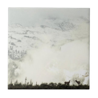 Azulejo Elk en el Parque Nacional de Grand Teton