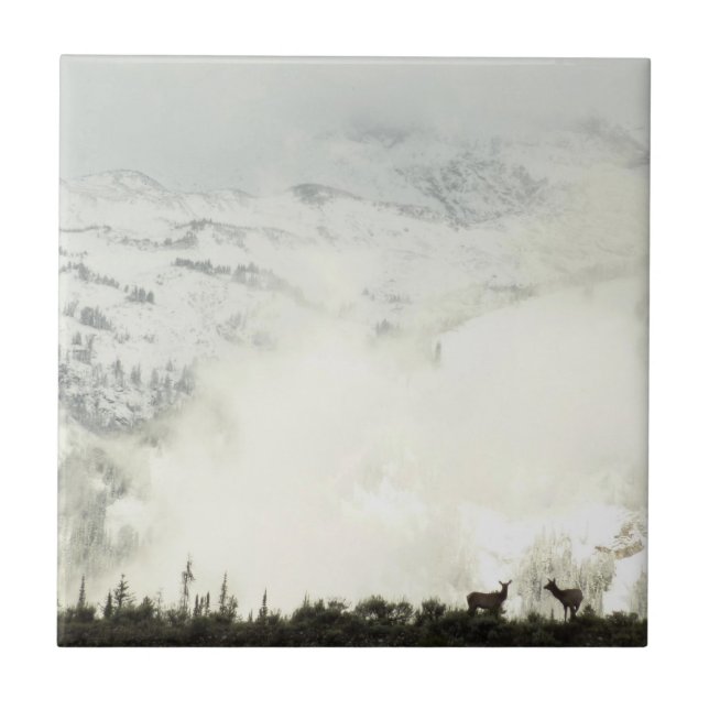 Azulejo Elk en el Parque Nacional de Grand Teton (Frente)