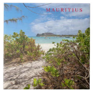 Azulejo Embaldosado cerámico con vistas a la playa Maurici