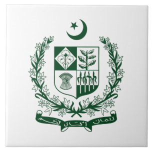 Azulejo emblema símbolo escudo de armas águila de Pakistán