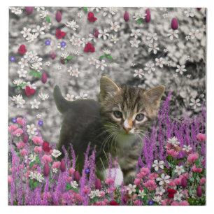 Azulejo Emma en flores I - pequeño gato gris del gatito