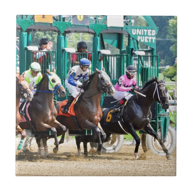 Azulejo En de Saratoga (Frente)