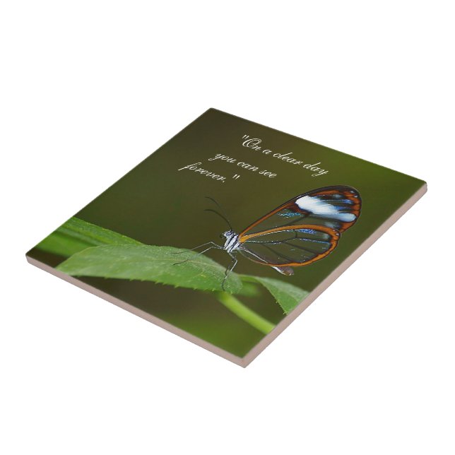 Azulejo "En diseño de la mariposa de Glasswing de un día (Lado)