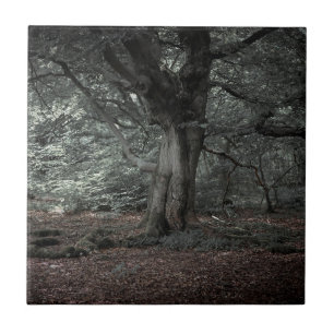 Azulejo En el bosque de cuento de hadas