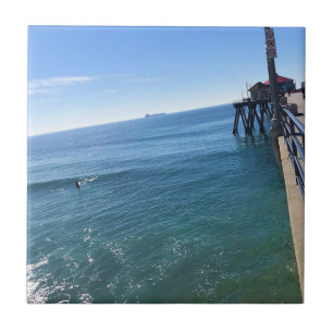 Azulejo En el muelle, Huntington Beach, California